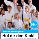 Kampfsport Esslingen Sommer-Angebot